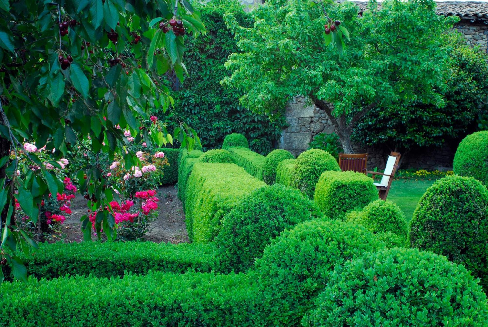 El Jardin Del Convento, Casa Rural Hervás Εξωτερικό φωτογραφία