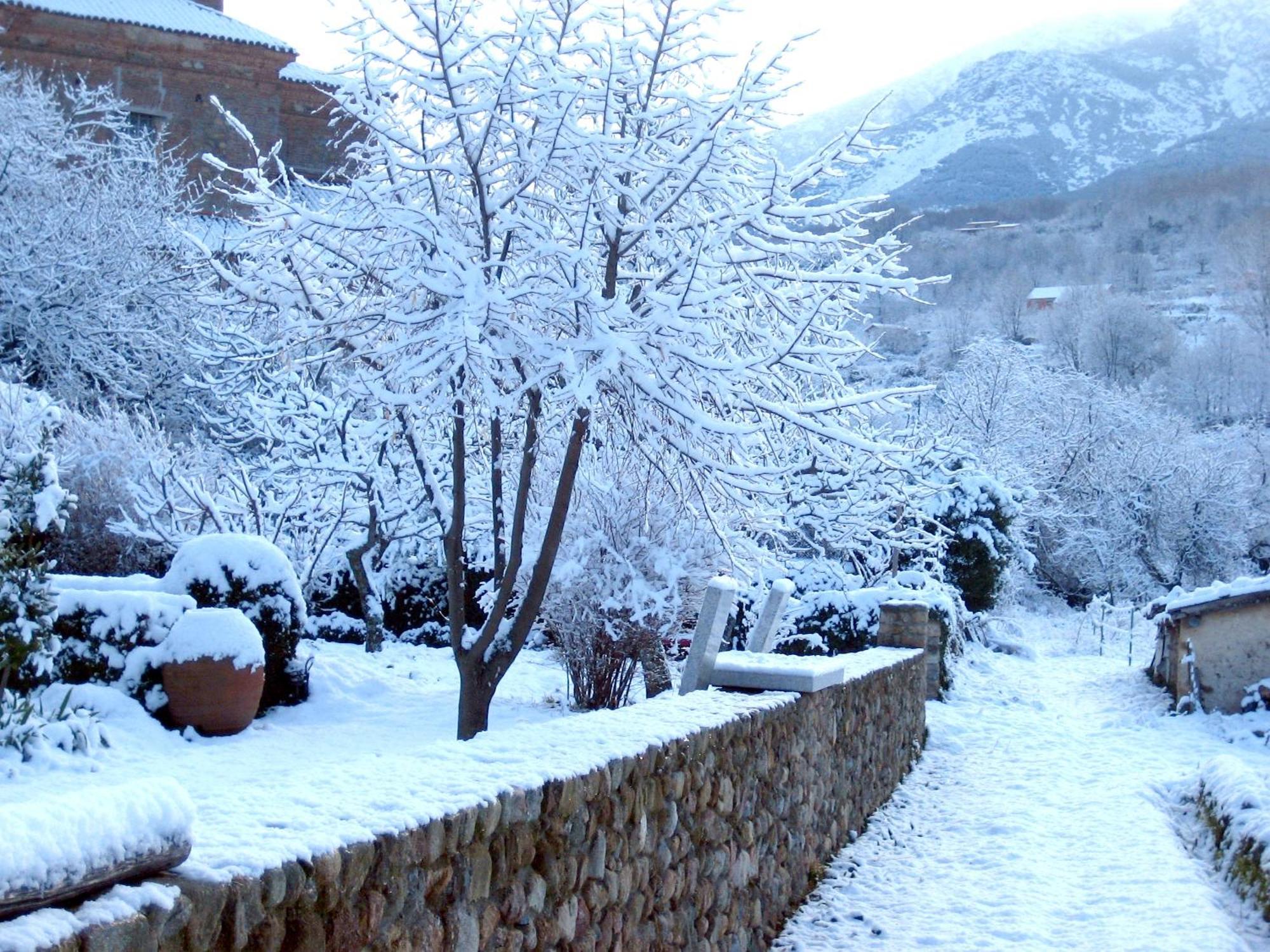 El Jardin Del Convento, Casa Rural Hervás Εξωτερικό φωτογραφία